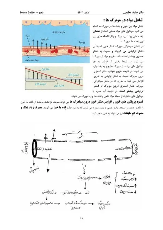 تحلیل تدریس زیست عظیمی تاملند 20 جزوات زیست عظیمی