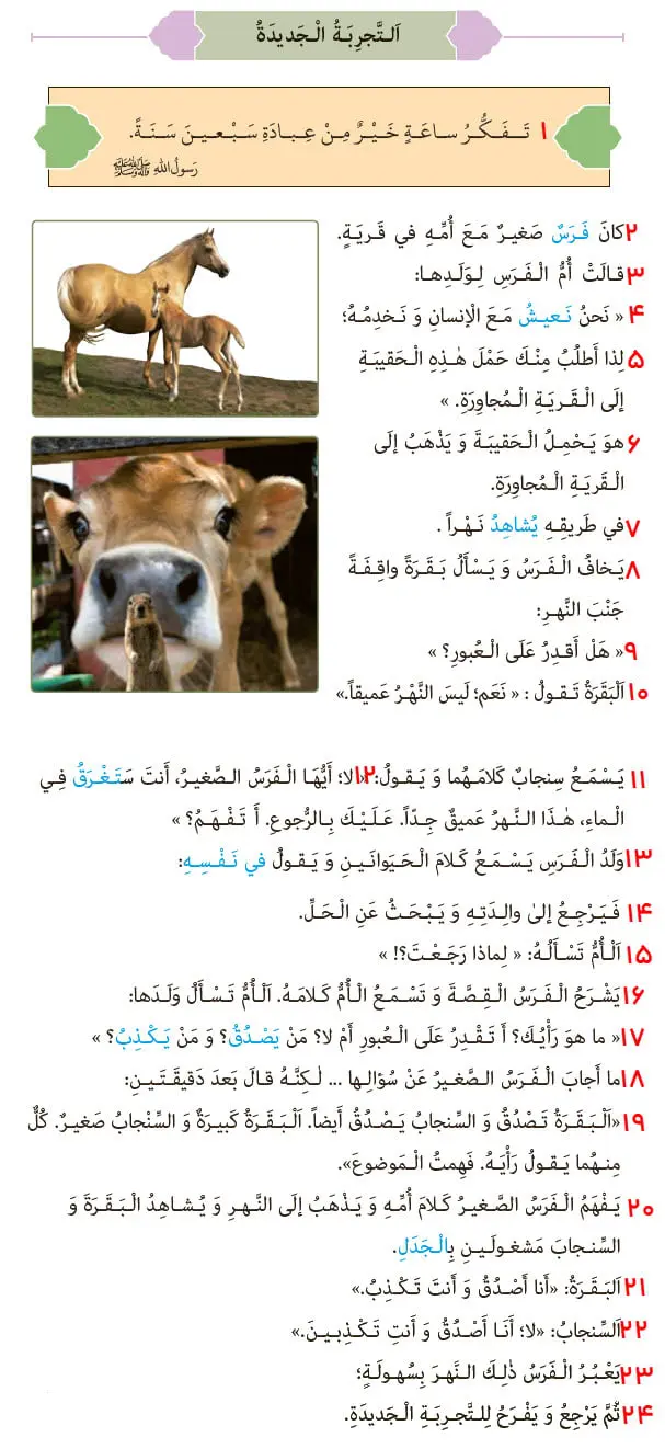 ترجمه متن صفحه 49 درس چهار عربی 8