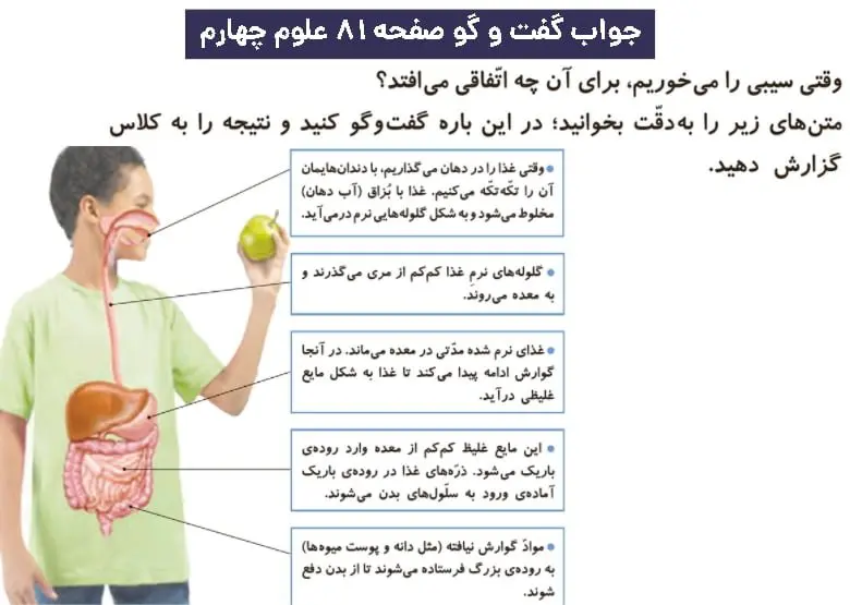 پاسخ گفت و گو صفحه ۸۱ علوم چهارم دبستان