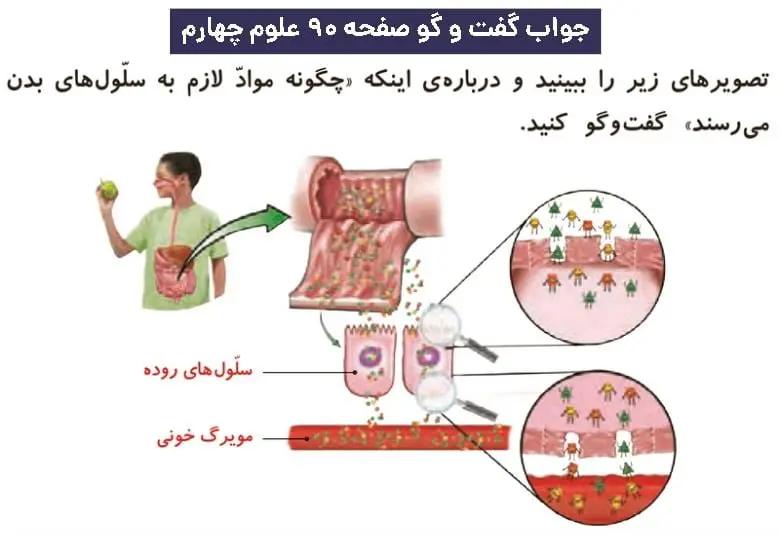 پاسخ گفت و گو صفحه ۹۰ علوم چهارم دبستان
