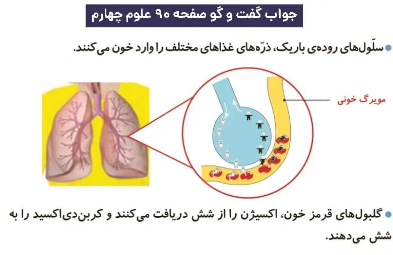 پاسخ گفت و گو صفحه نود علوم چهارم دبستان