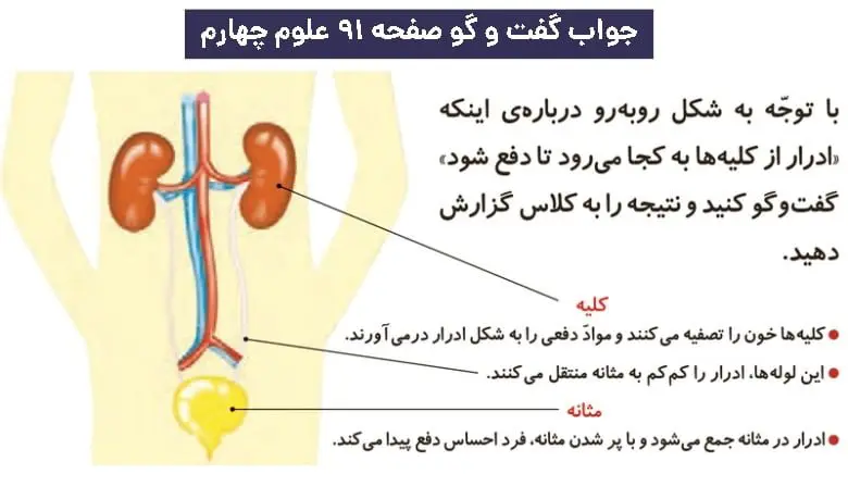 پاسخ گفت و گو صفحه ۹۱ علوم چهارم دبستان