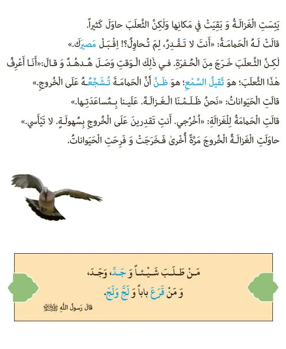 صفحه 64 عربی نهم با جواب و معنی