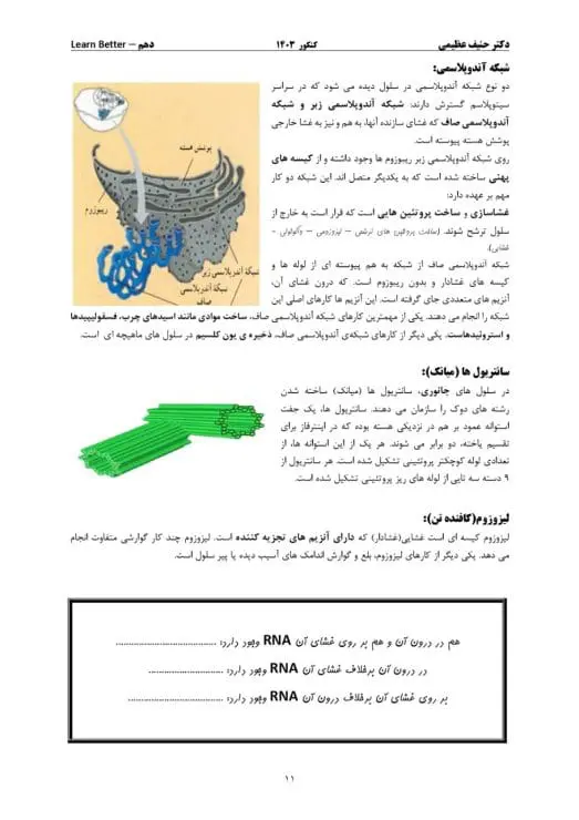 تحلیل تدریس زیست عظیمی تاملند 18
جزوه زیست استاد عظیمی