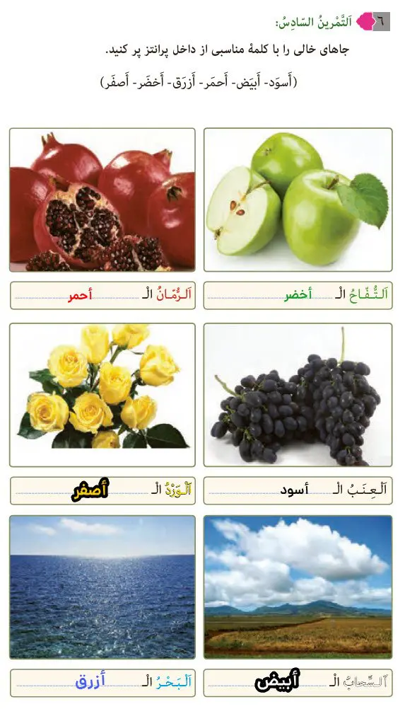پاسخ تمرین 6 درس 1 عربی هشتم