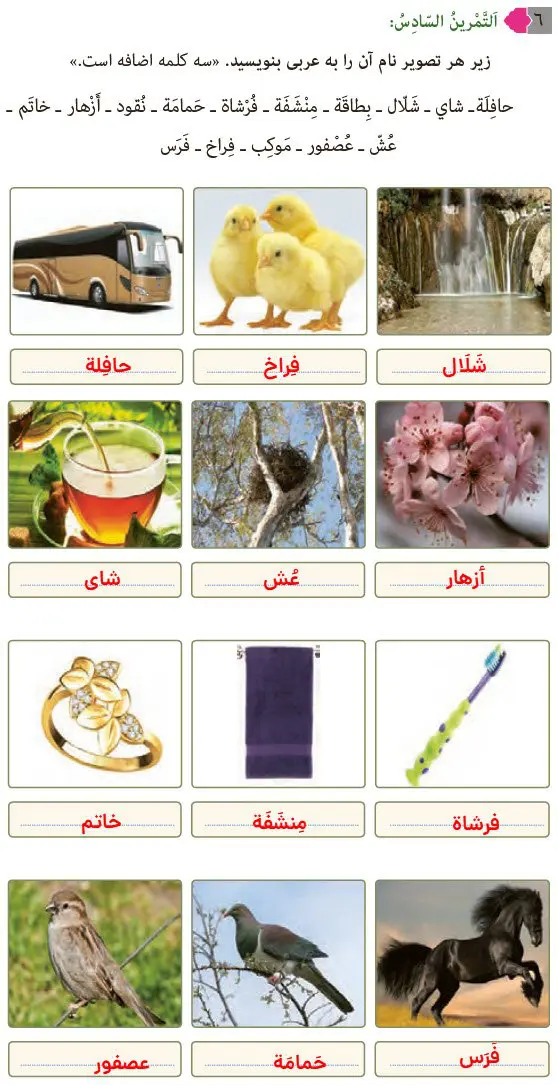 جواب تمرین ششم درس 9 عربی هشتم