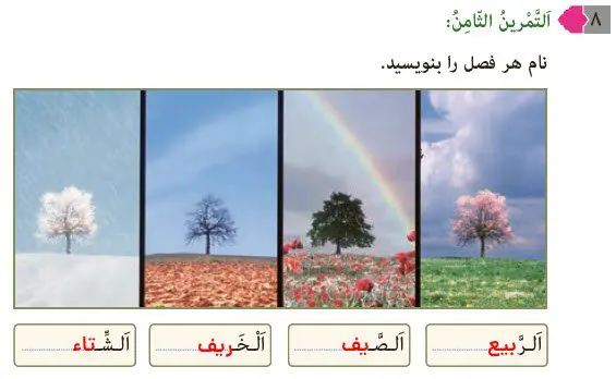 پاسخ تمرین 8 درس 1 عربی هشتم