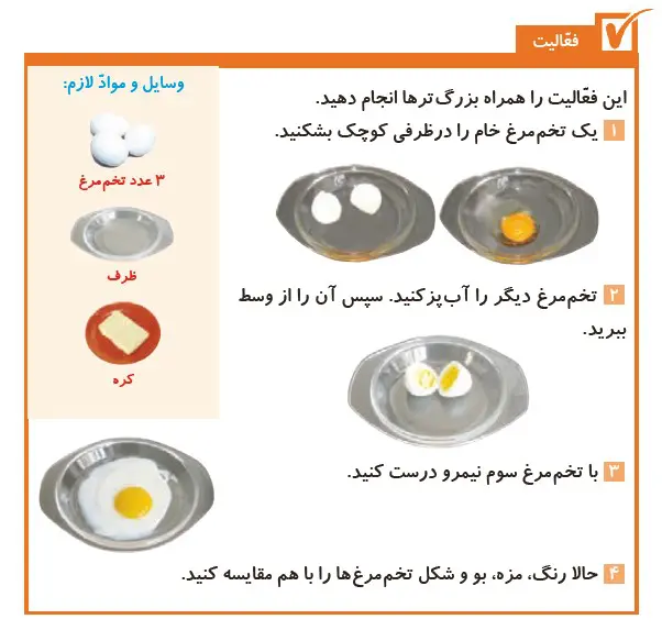 Activity of page 11 the science 5