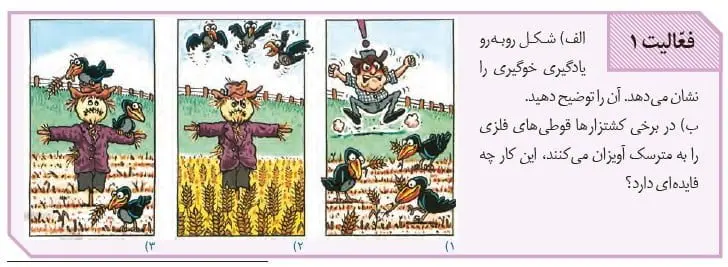 جواب فعالیت صفحه 110 زیست دوازدهم
