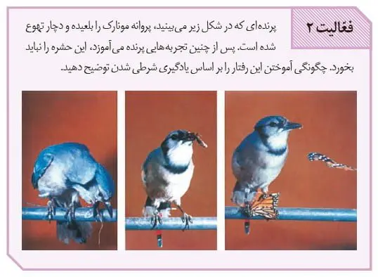 جواب فعالیت صفحه 112 زیست دوازدهم