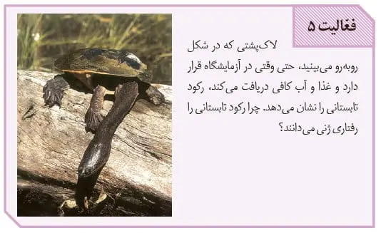 جواب فعالیت صفحه 120 زیست دوازدهم