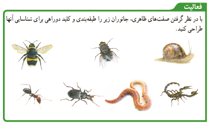 فعالیت صفحه 115 علوم نهم