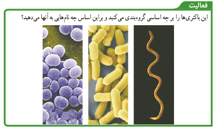 فعالیت صفحه 126 علوم نهم