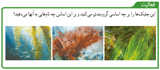 فعالیت صفحه 127 علوم نهم