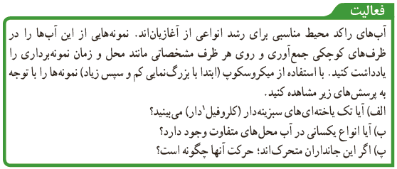 فعالیت صفحه 128 علوم نهم