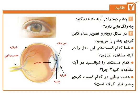 فعالیت صفحه 46 علوم پنجم دبستان 1400