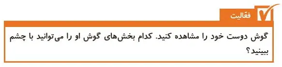 فعالیت صفحه 50 علوم پنجم دبستان 1400