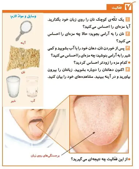 فعالیت صفحه 54 علوم پنجم دبستان 1400