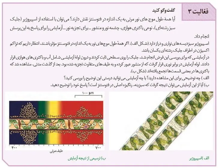 جواب فعالیت صفحه 81 زیست دوازدهم