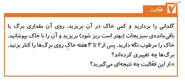 فعالیت صفحه 85 علوم پنجم دبستان 1400