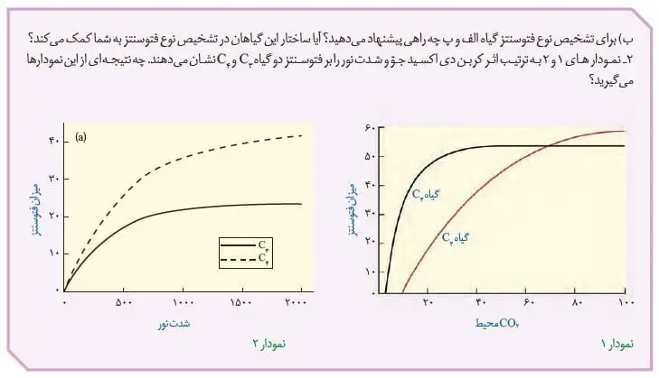 جواب فعالیت صفحه 89 زیست دوازدهم