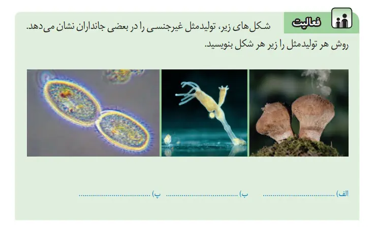 جواب فعالیت صفحه 69 علوم هشتم