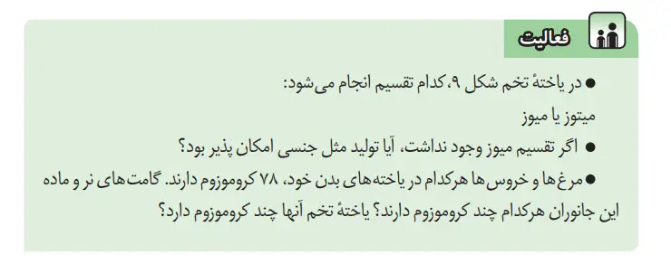 جواب فعالیت صفحه 71 علوم هشتم