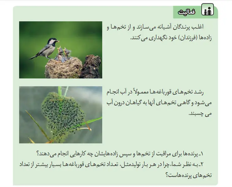 جواب فعالیت صفحه 72 علوم هشتم