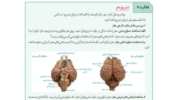 فعالیت 7 صفحه 14 زیست پایه 11