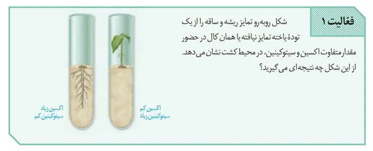 جواب فعالیت 1 صفحه 142 زیست یازدهم