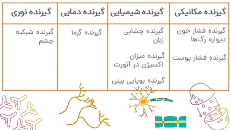 جواب فعالیت 1 صفحه 21 زیست یازدهم