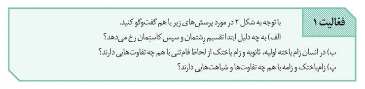 جواب فعالیت 1 صفحه 98 زیست یازدهم