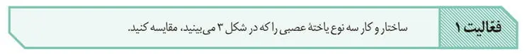 جواب فعالیت 1 صفحه 3 زیست یازدهم