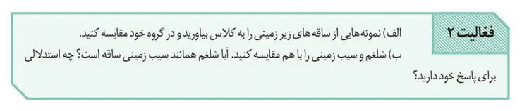 جواب فعالیت 2 صفحه 122 زیست یازدهم