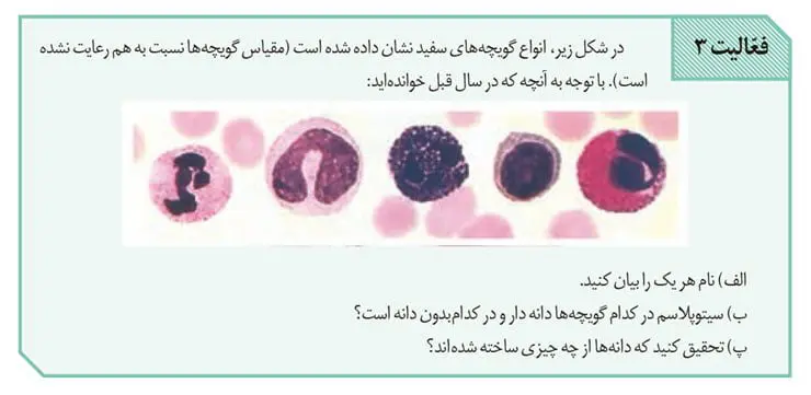 جواب فعالیت 3 صفحه 68 زیست یازدهم