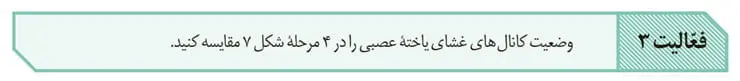 جواب فعالیت 3 صفحه 6 زیست یازدهم