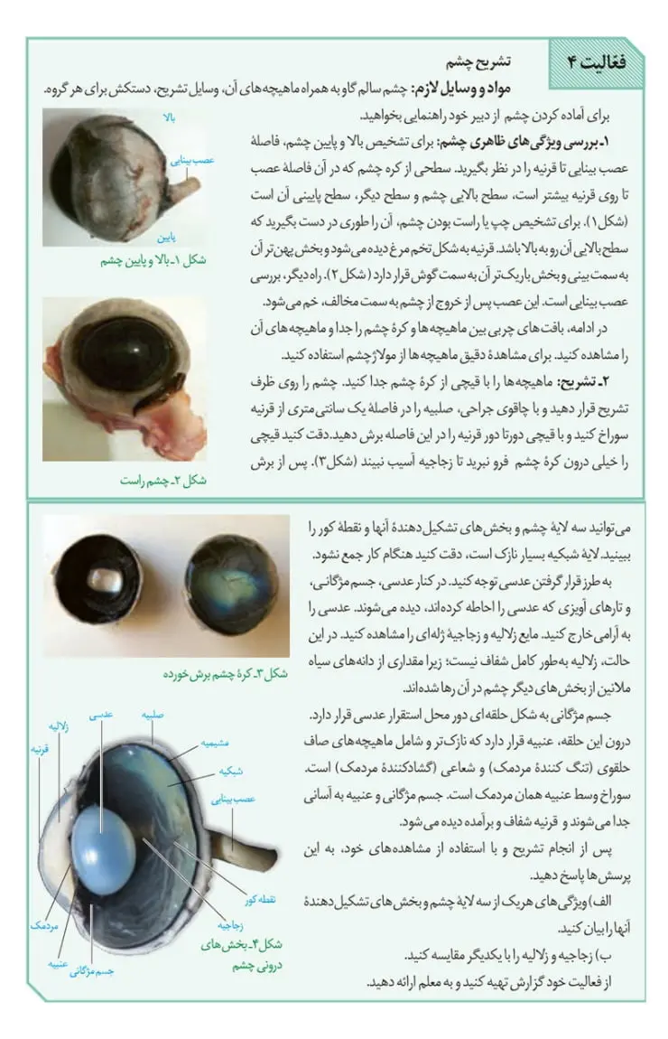 جواب فعالیت 4 صفحه 27 زیست یازدهم