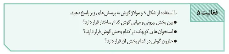 جواب فعالیت 5 صفحه 29 زیست یازدهم
