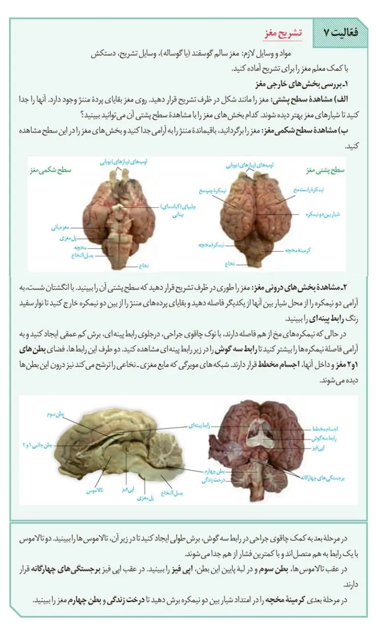 جواب فعالیت 7 صفحه 14 زیست یازدهم