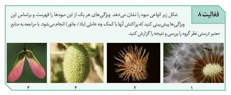 جواب فعالیت 8 صفحه 134 زیست یازدهم