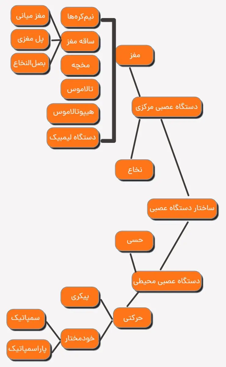 جواب فعالیت 9 صفحه 18 زیست یازدهم