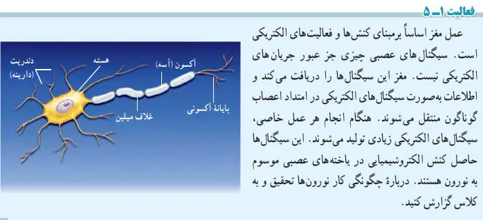 پاسخ فعالیت 1-5 فیزیک یازدهم صفحه 24