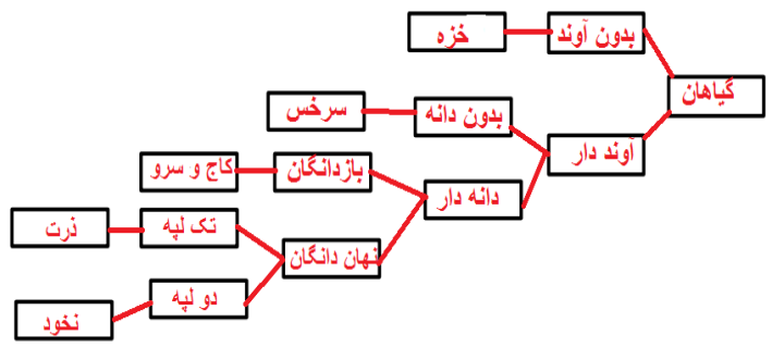 جواب فعالیت صفحه 139 علوم نهم