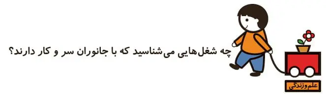 جواب علم و زندگی علوم اول دبستان صفحه 32