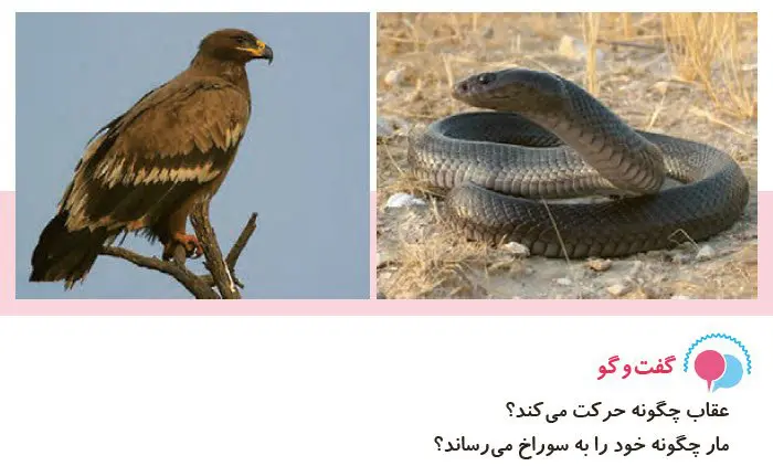 جواب گفت و گو علوم سوم دبستان صفحه 100