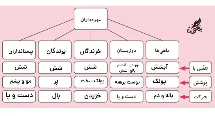 جواب گفت و گو صفحه 108 علوم سوم دبستان 