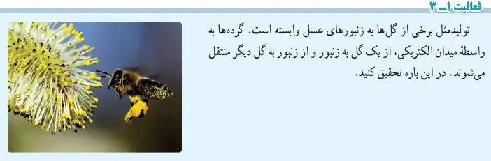 پاسخ فعالیت 1-3 صفحه 19 فیزیک یازدهم
