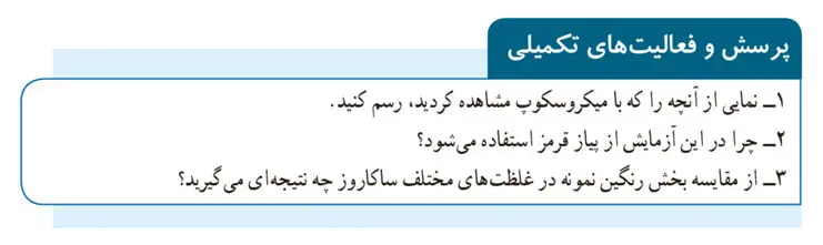 پاسخ پرسش و فعالیت‌های تکمیلی صفحه 47 آزمایشگاه یازدهم