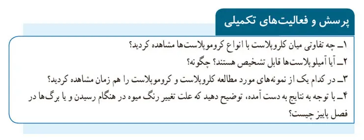 پاسخ پرسش و فعالیت‌های تکمیلی صفحه 51 آزمایشگاه یازدهم