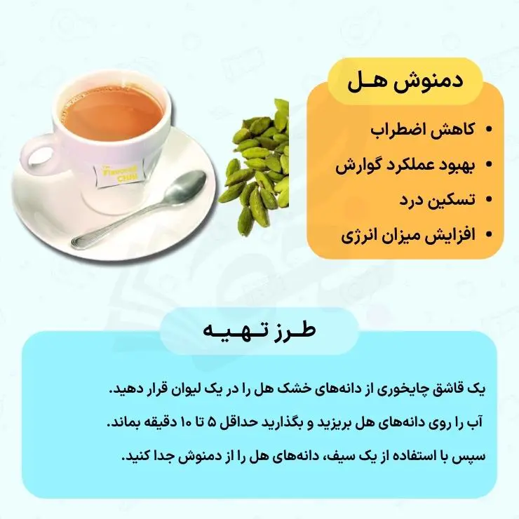5 دمنوش مناسب برای کنکوریها + روش تهیه 9 دمنوش برای افزایش انرژی کنکوری ها